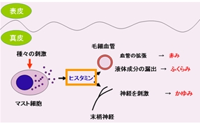 @]̌E@
