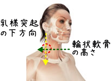 線維筋痛症について