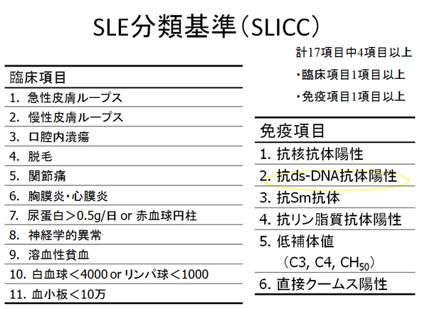SLE 2013NSLICC